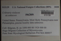 Image Associated With the Occurence